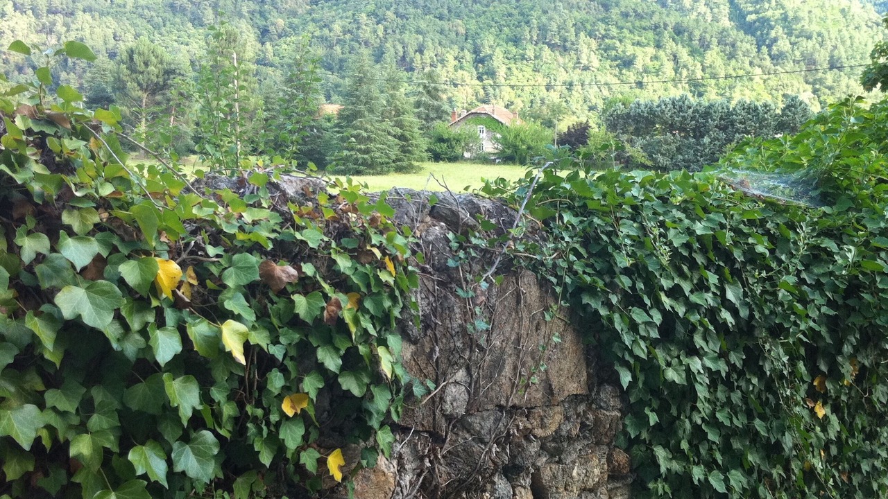 Photo of Outdoor in Michard-Est