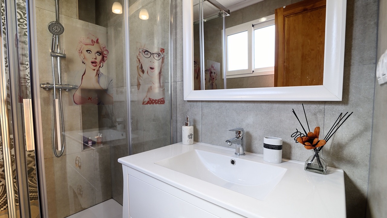Photo of Bathroom in Extramurs