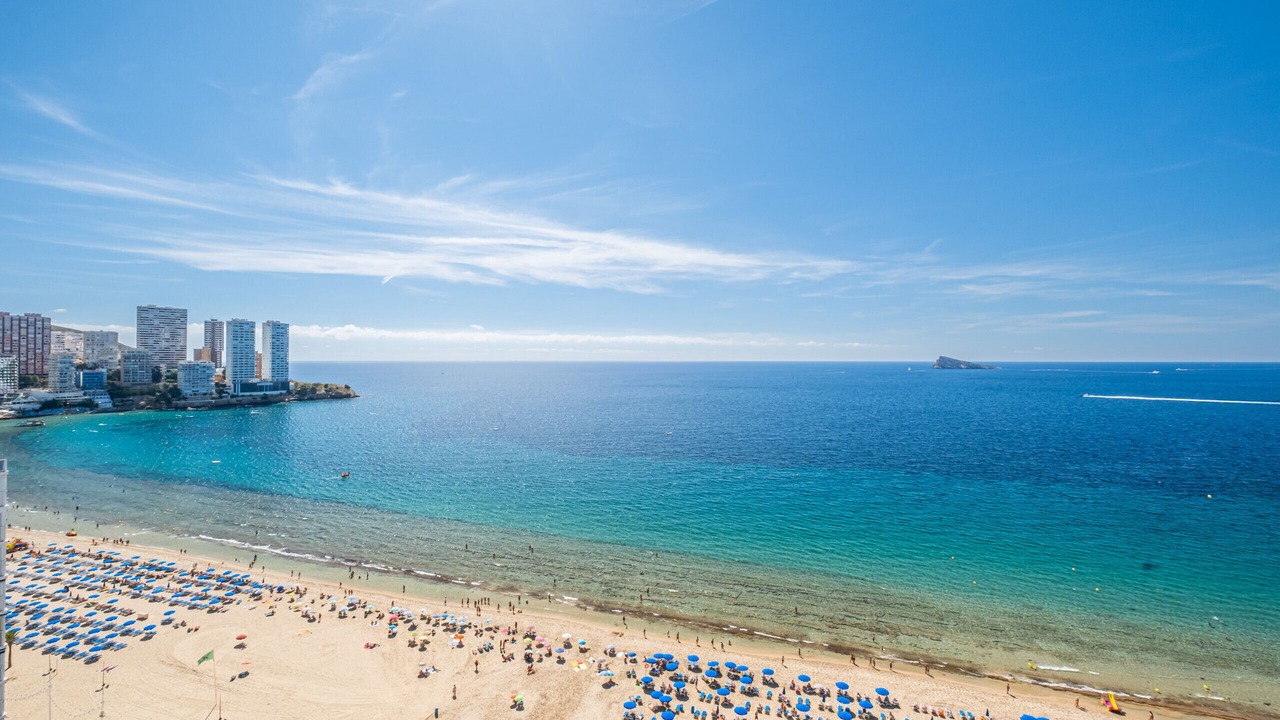 Photo of Others in Benidorm