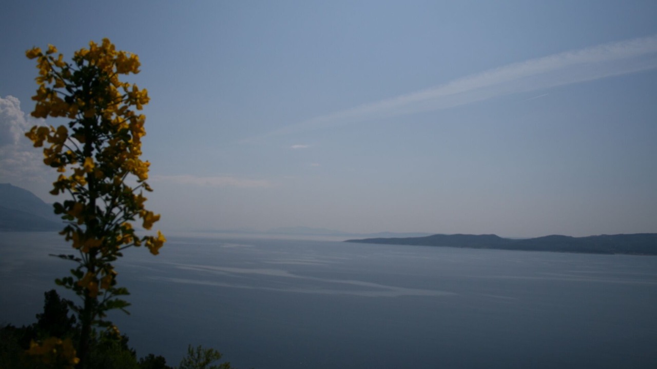 Photo of Others in Marusici