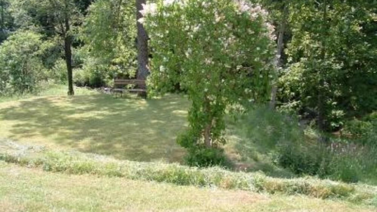 Photo of Outdoor in La Bresse