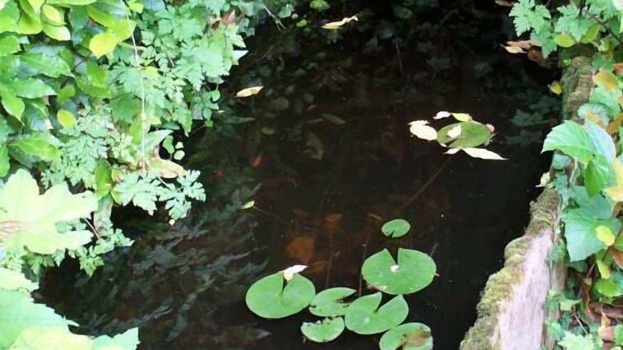 Photo of Outdoor in Saint-Avertin