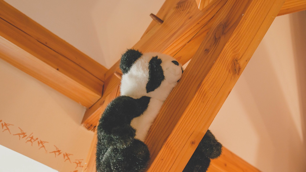 Photo of Bedroom in Couze-et-Saint-Front