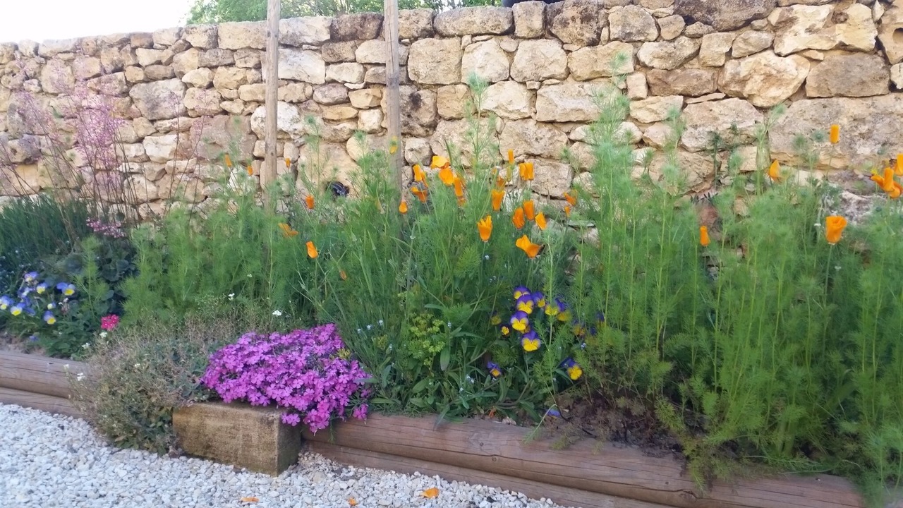 Photo of Outdoor in Couze-et-Saint-Front