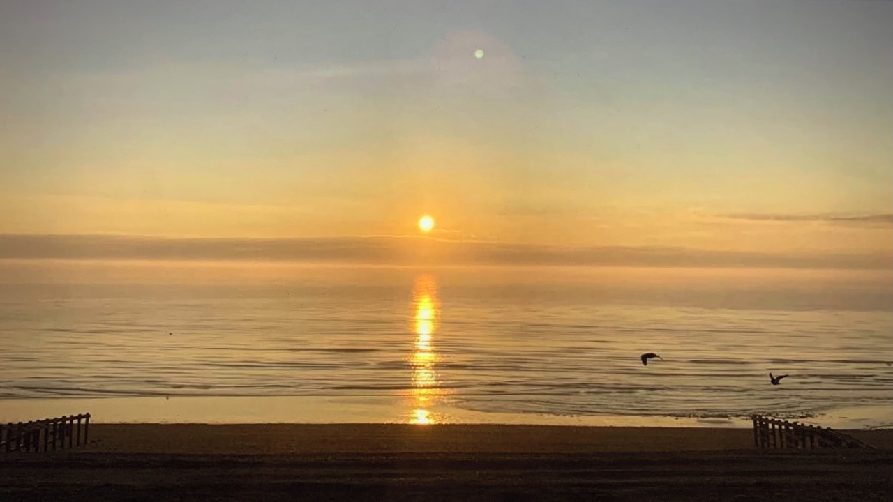 Photo of Others in Pevensey