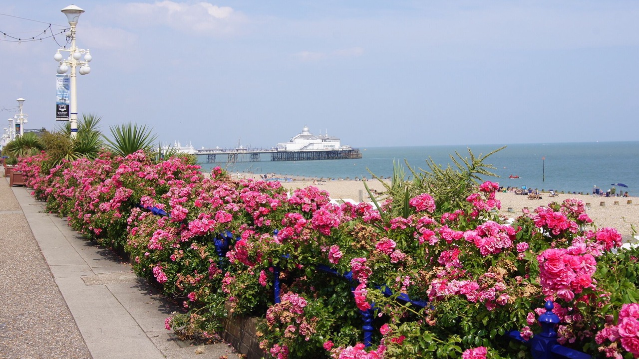 Photo of Others in Pevensey