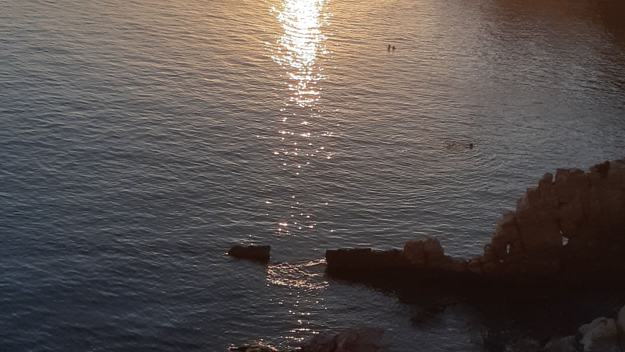 Photo of Others in Cap de Salou