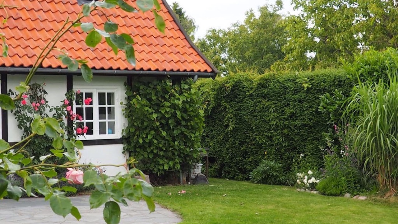 Photo of Outdoor in Vejby