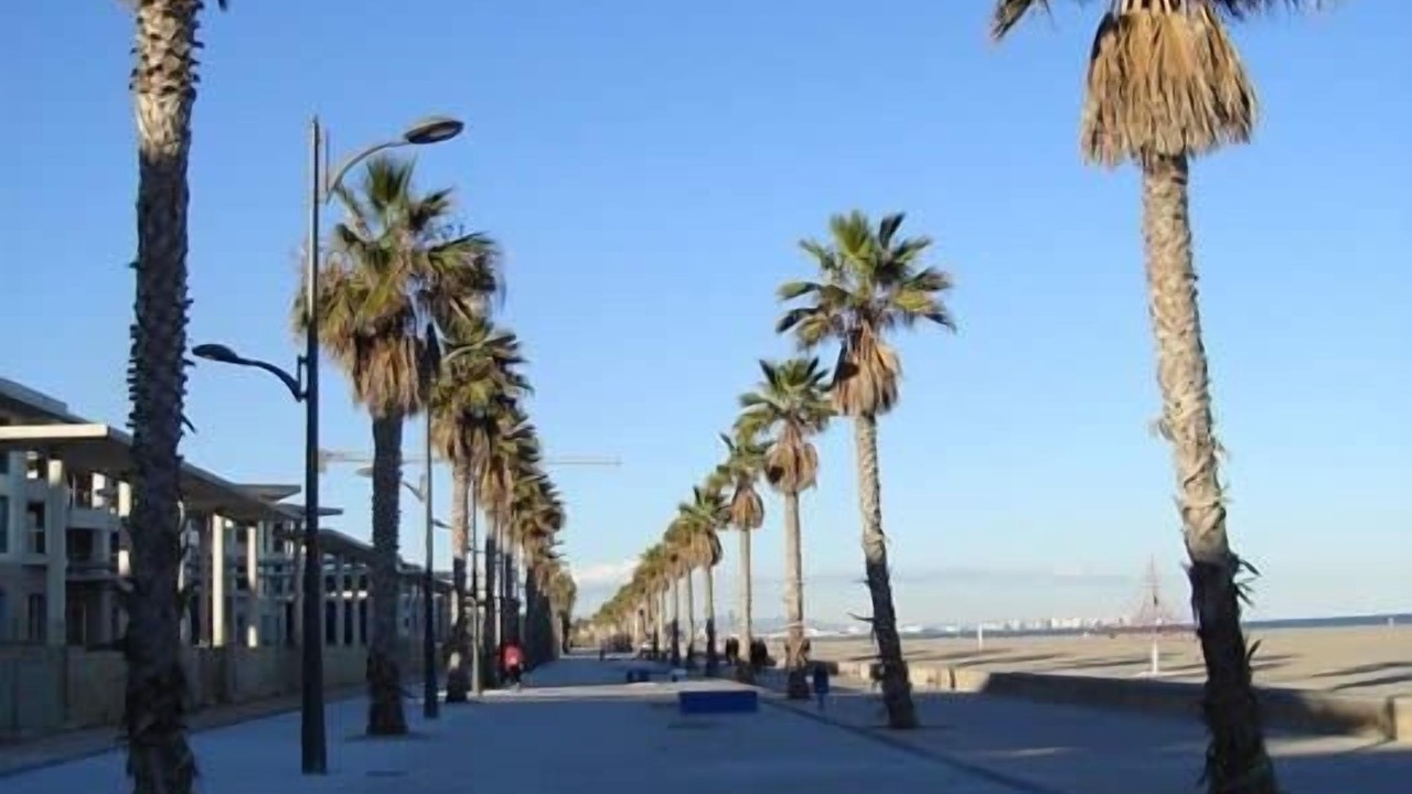 Photo of Outdoor in Alboraya