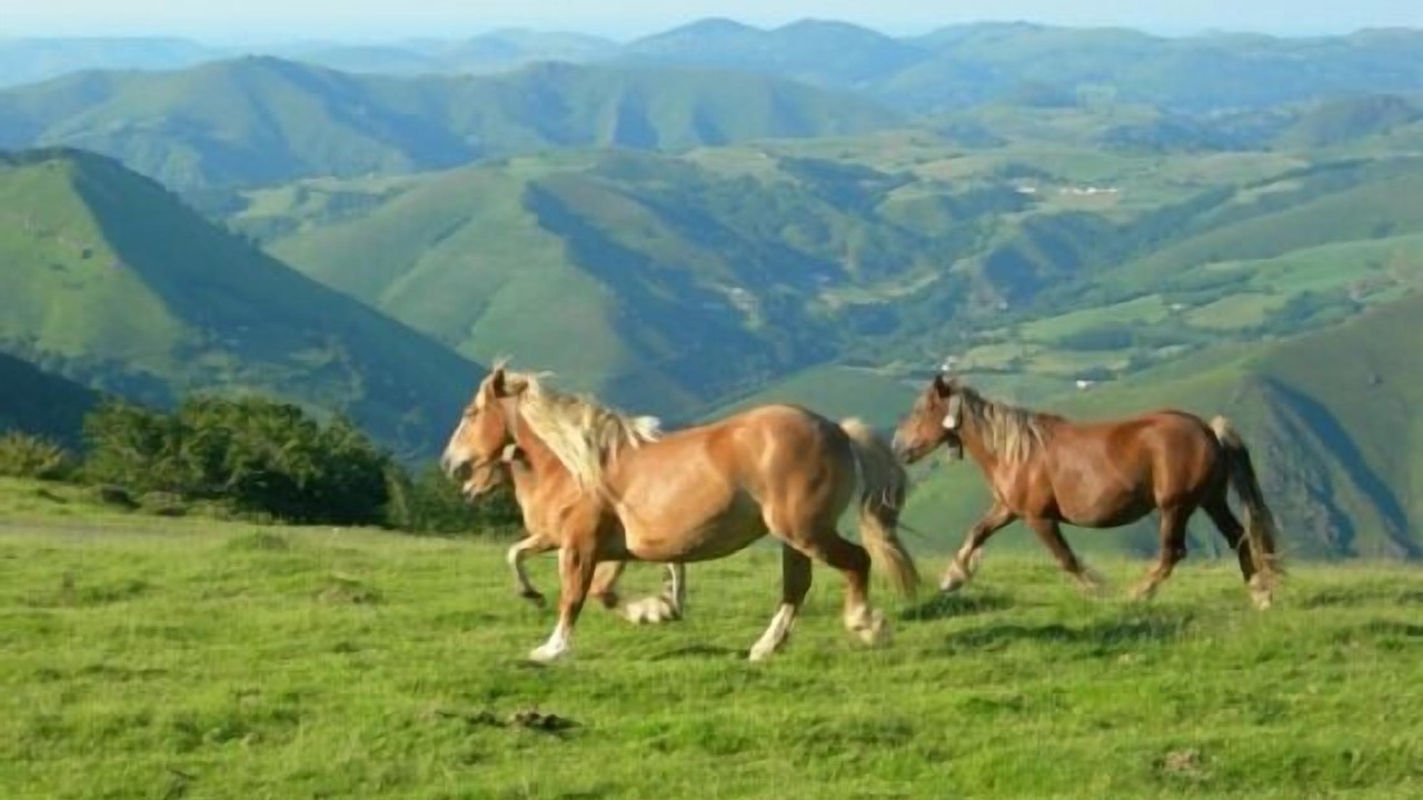Photo of Outdoor in Aurizberri