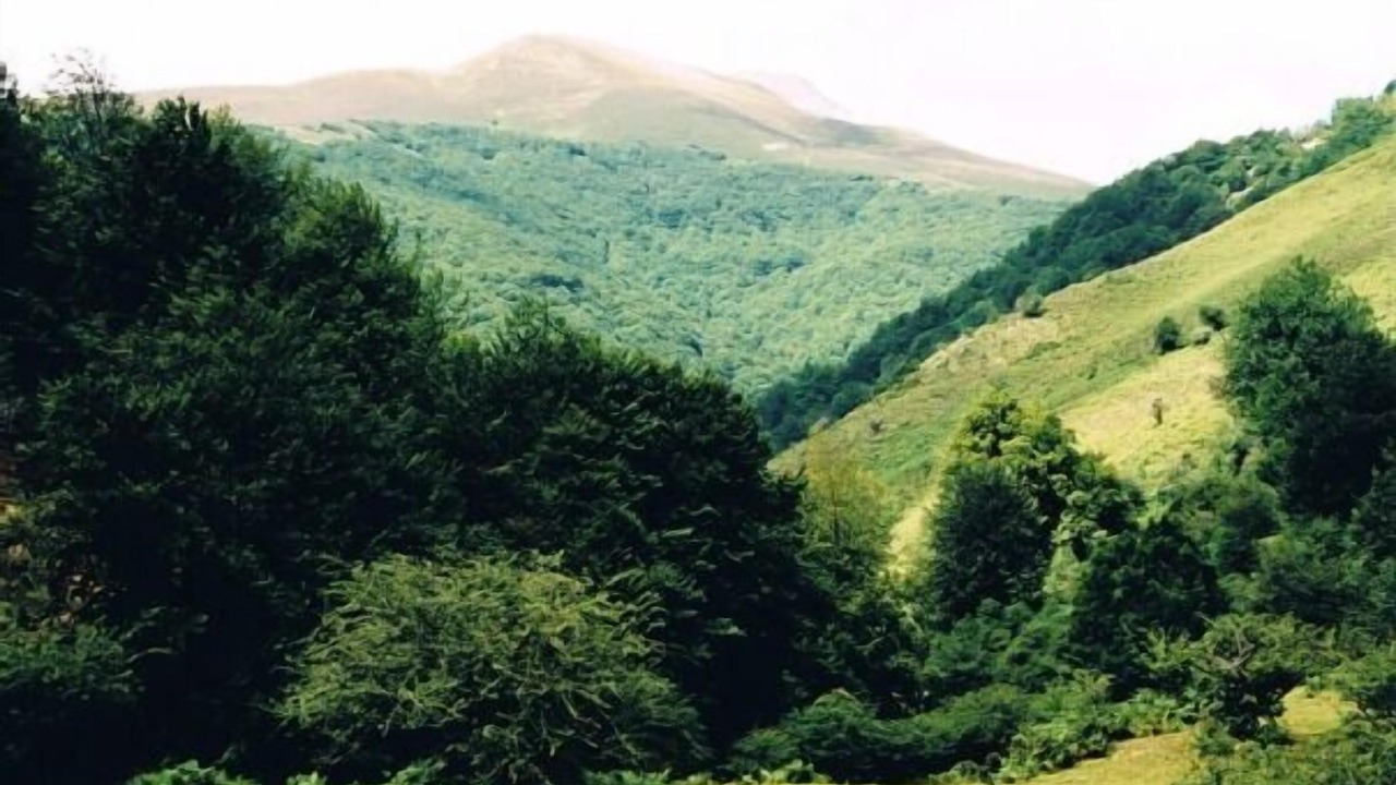 Photo of Outdoor in Aurizberri