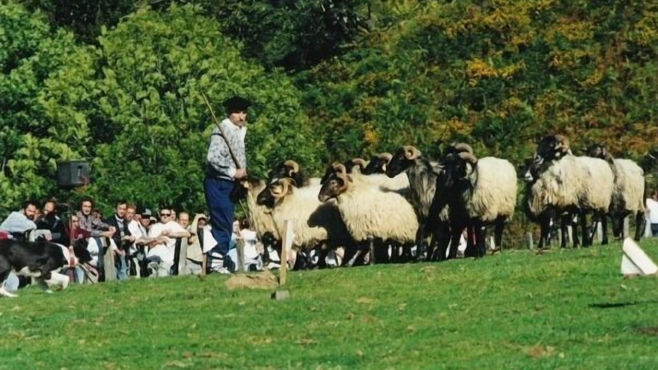 Photo of Outdoor in Aurizberri