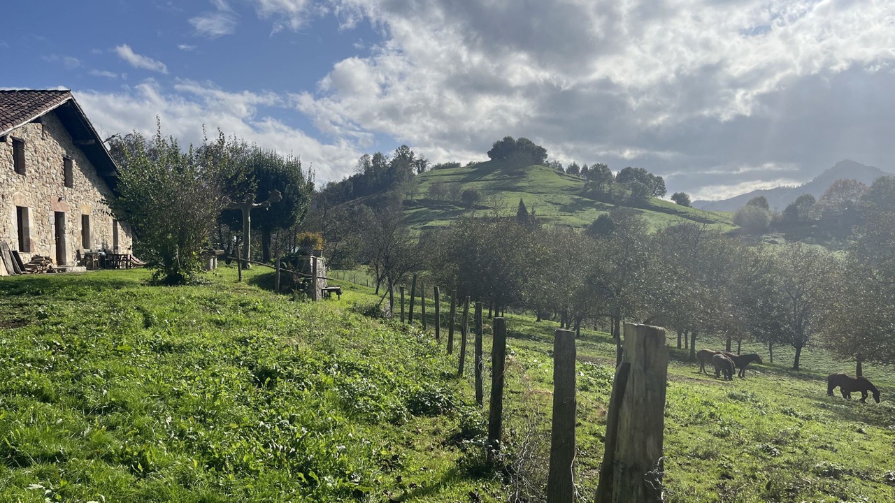 Photo of Outdoor in Mallabia