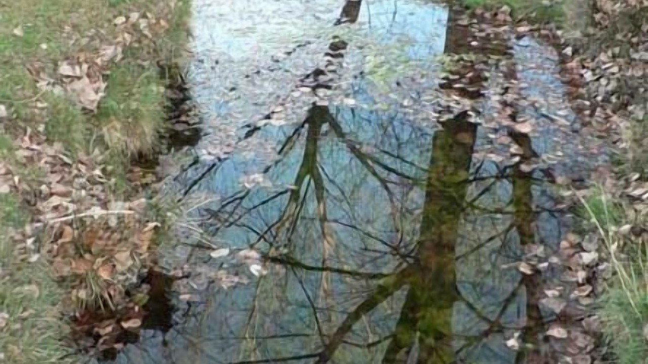 Photo of Outdoor in Culla