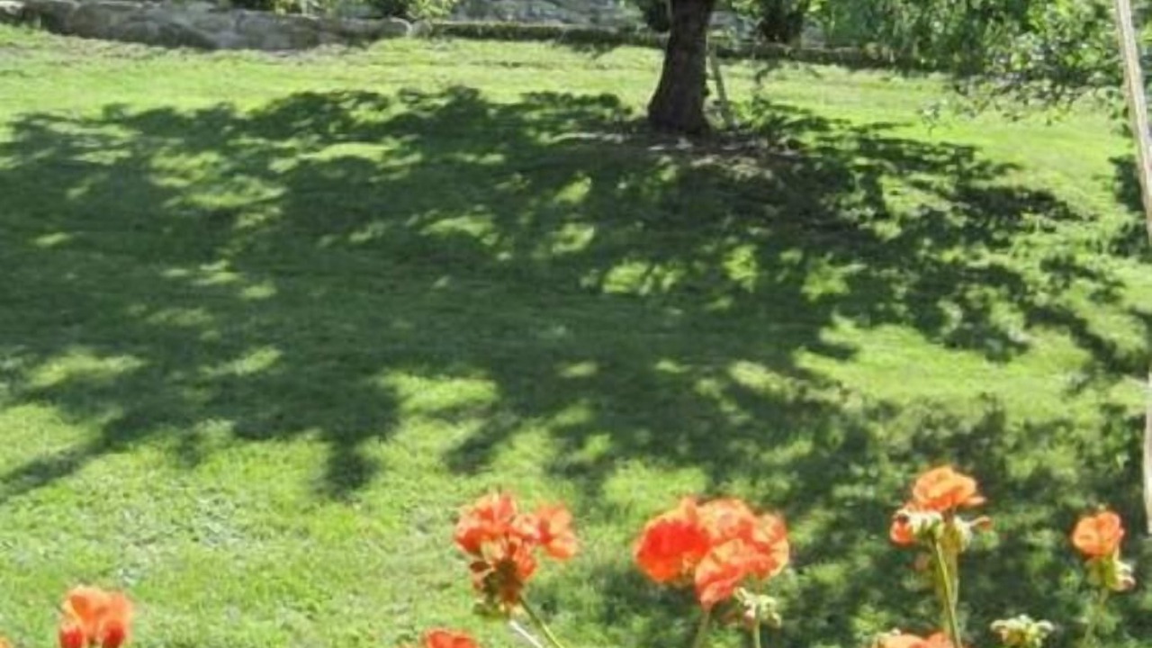 Photo of Outdoor in Chorges