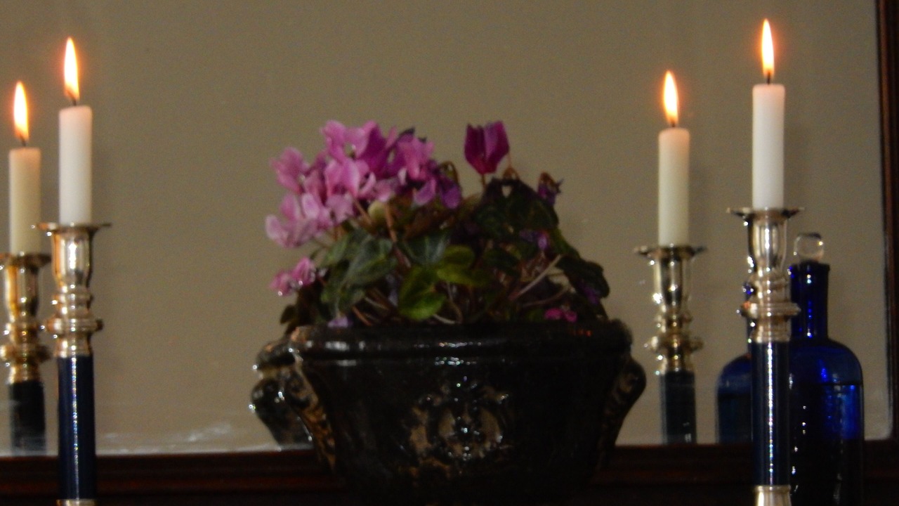 Photo of Others in Chatel-Censoir