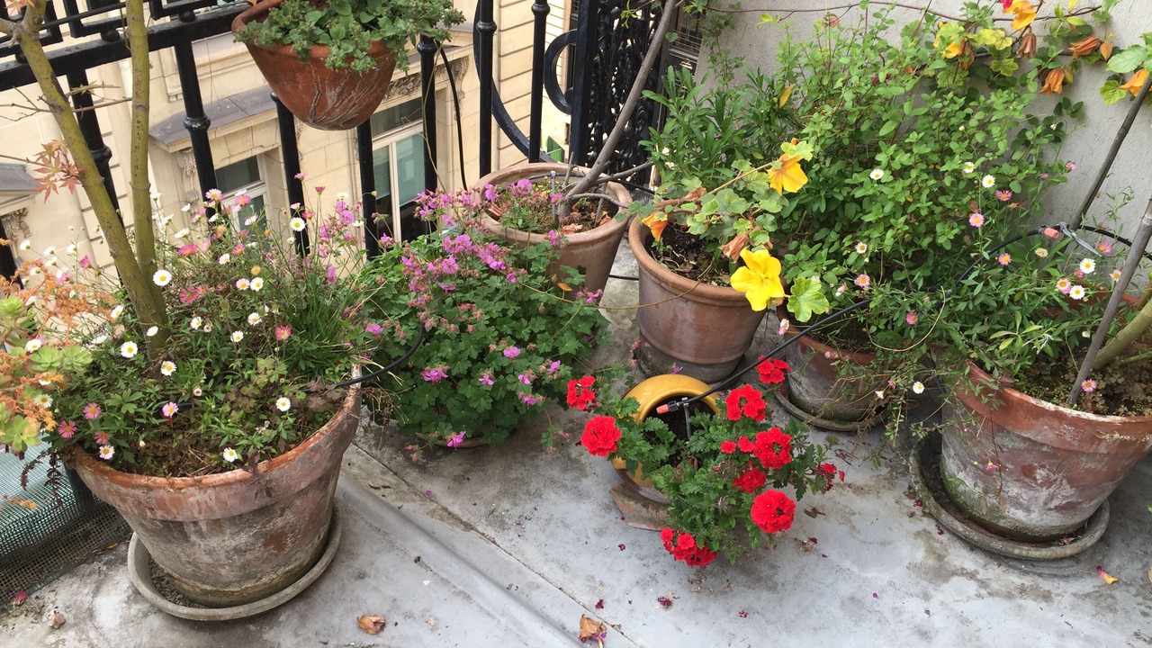 Photo of Outdoor in Quartier du Faubourg-Montmartre