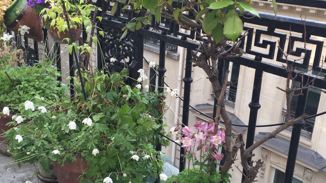 Photo of Outdoor in Quartier du Faubourg-Montmartre