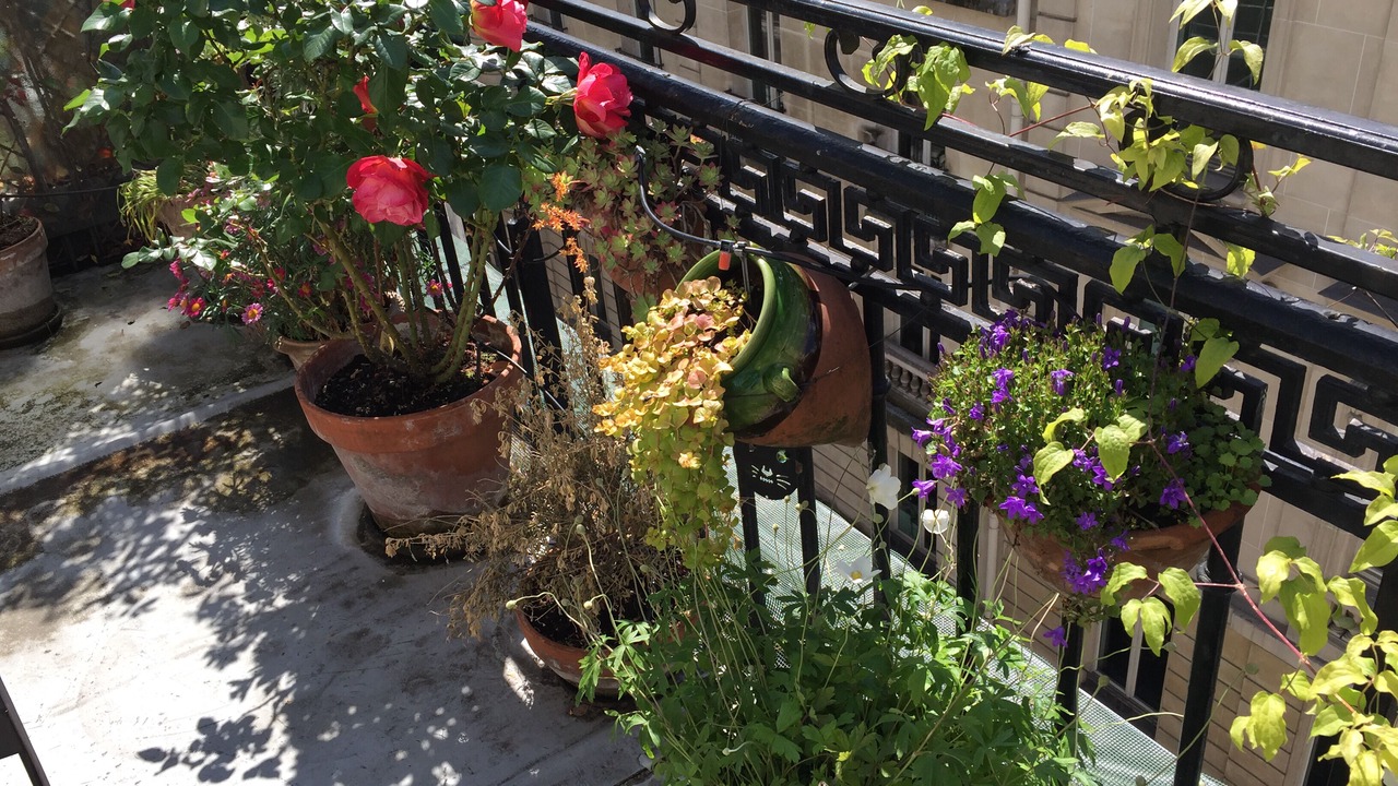 Photo of Outdoor in Quartier du Faubourg-Montmartre
