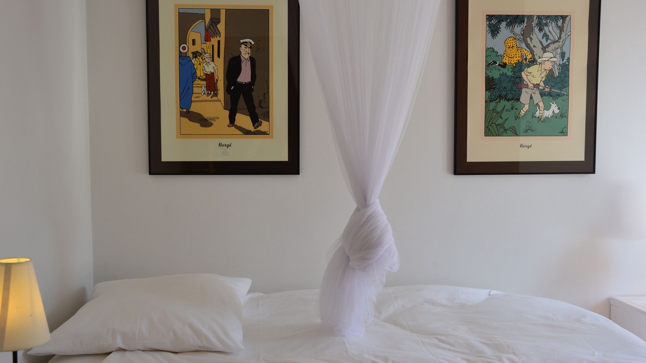 Photo of Others in Saint-Paul-de-Vence