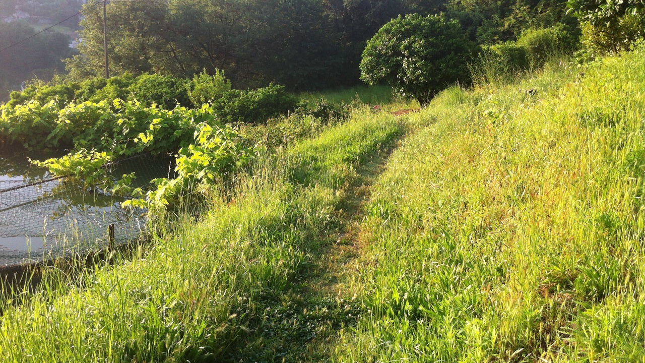 Photo of Others in Saint-Paul-de-Vence