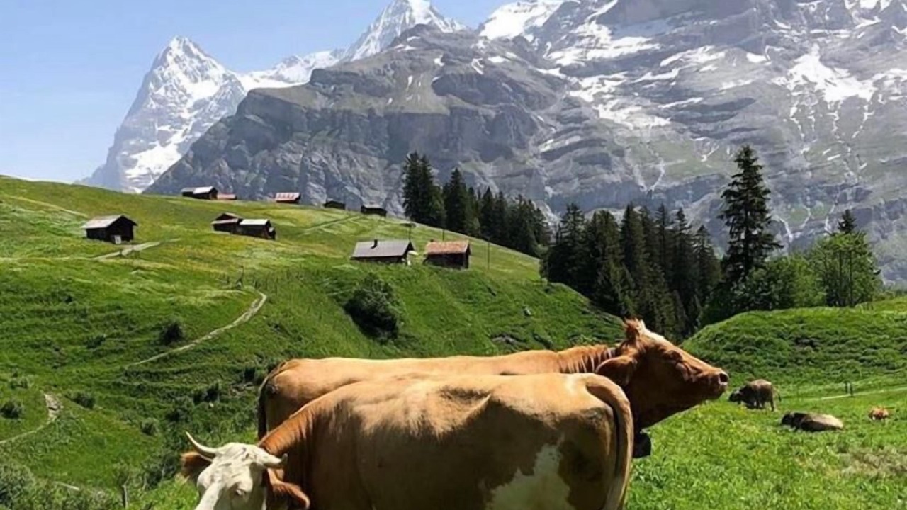 Photo of Outdoor in Murren