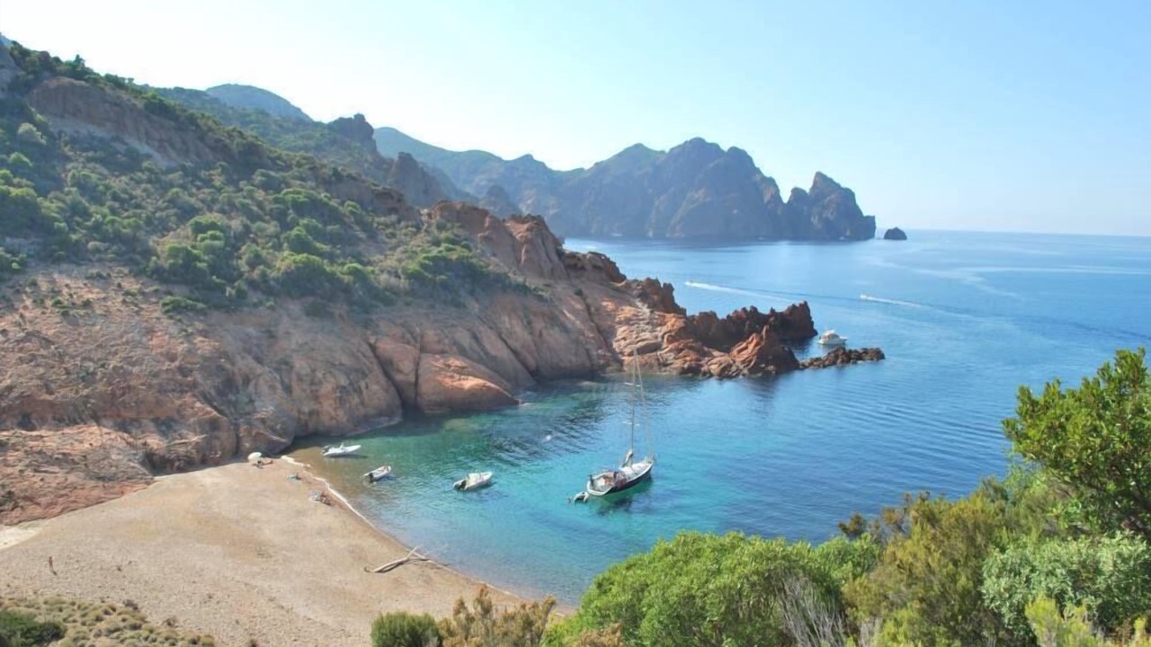 Photo of Others in Galeria