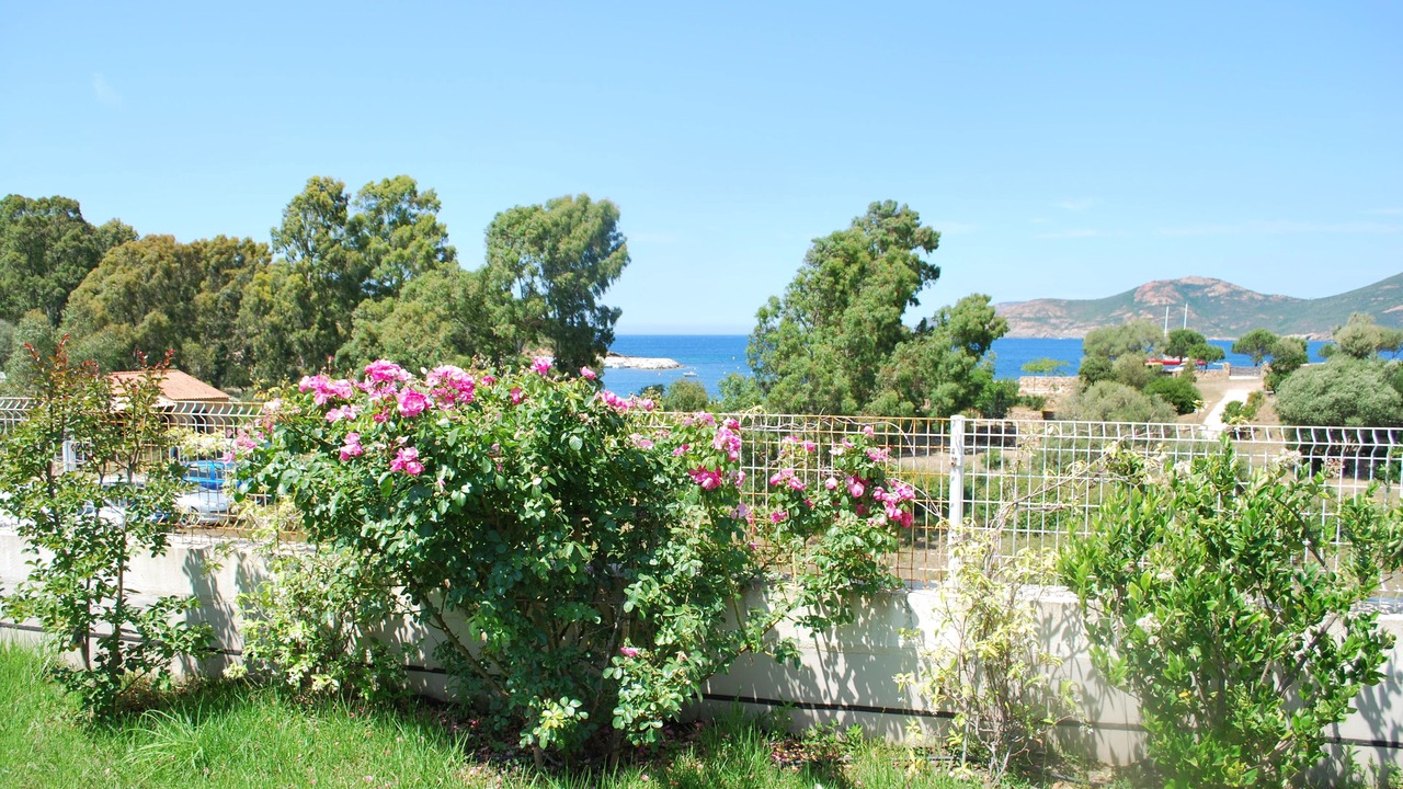 Photo of Outdoor in Galeria