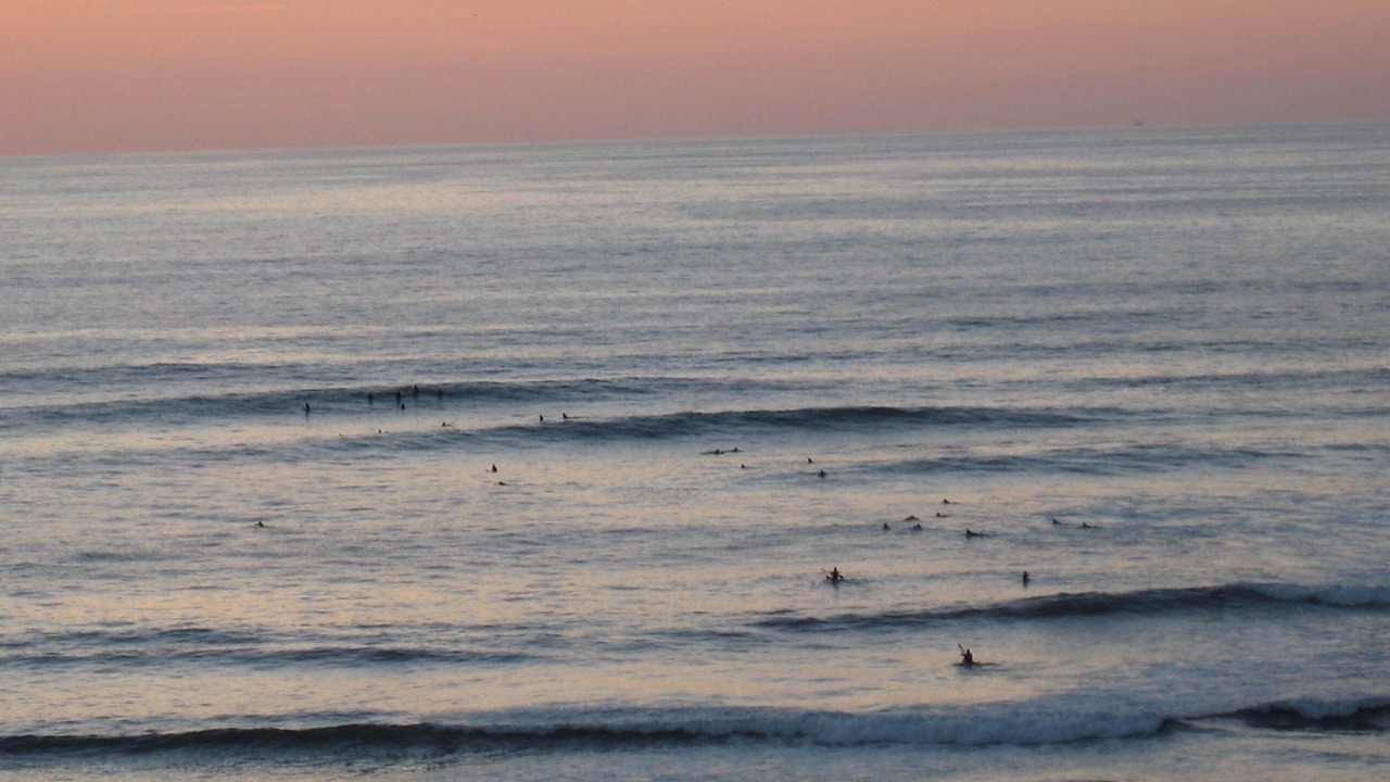 Photo of Others in Bidart