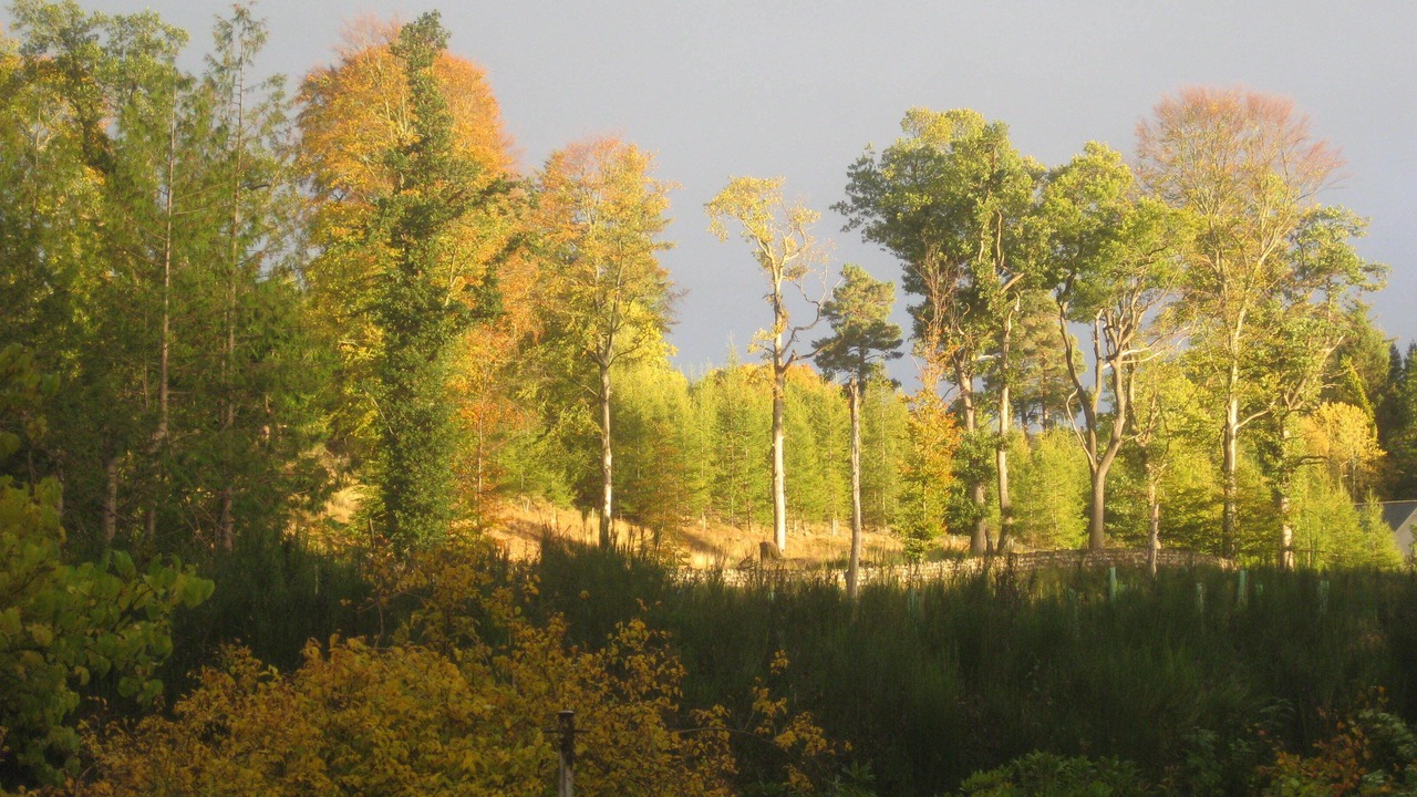 Photo of Others in Aboyne