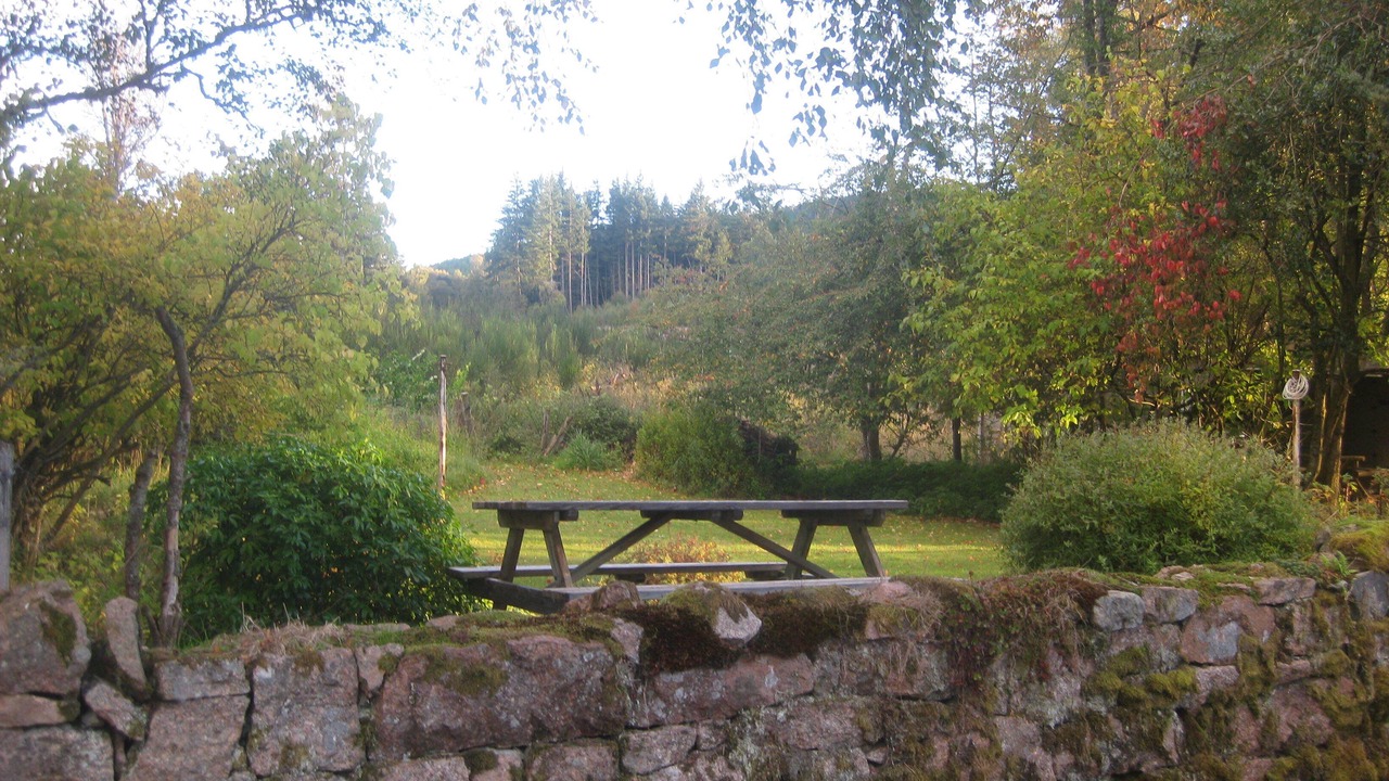 Photo of Others in Aboyne