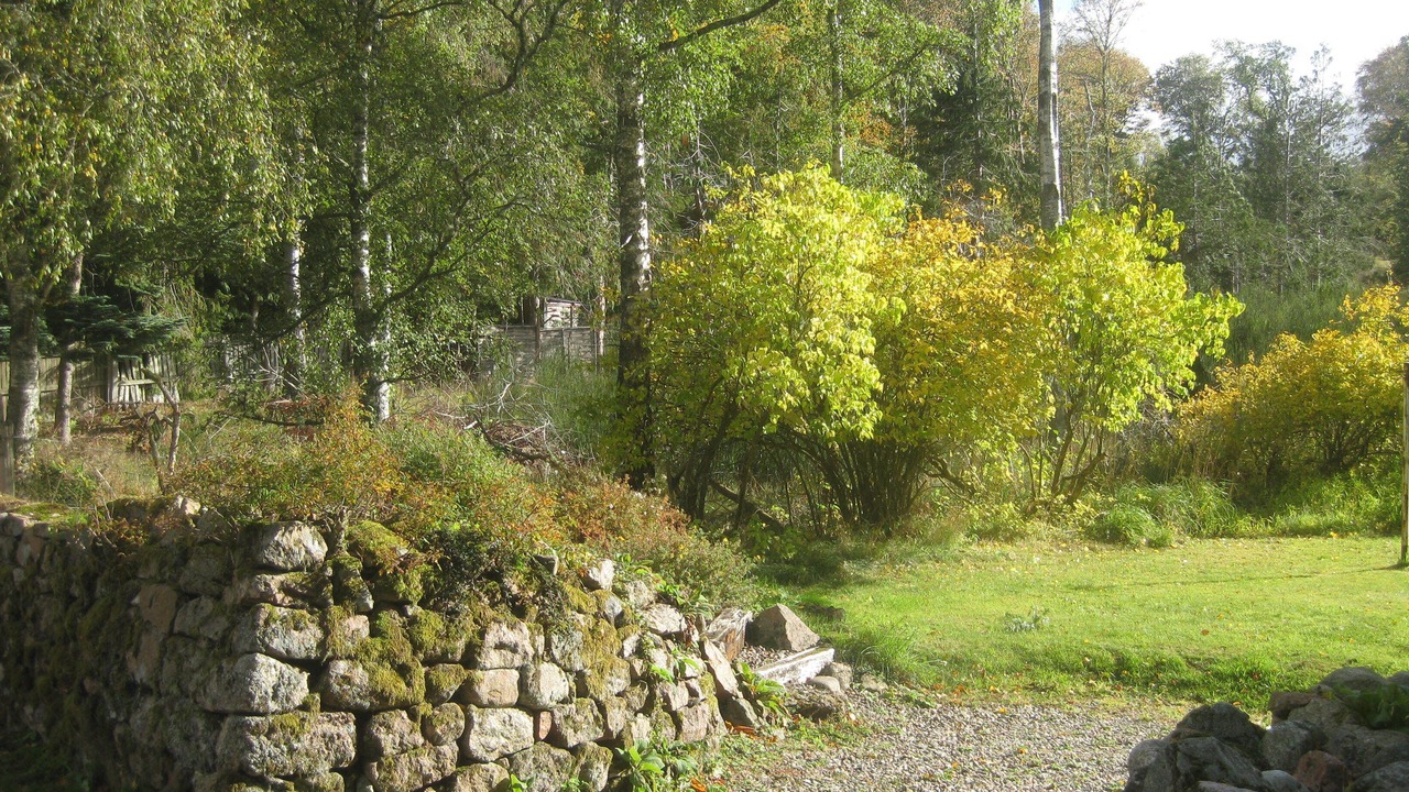 Photo of Others in Aboyne