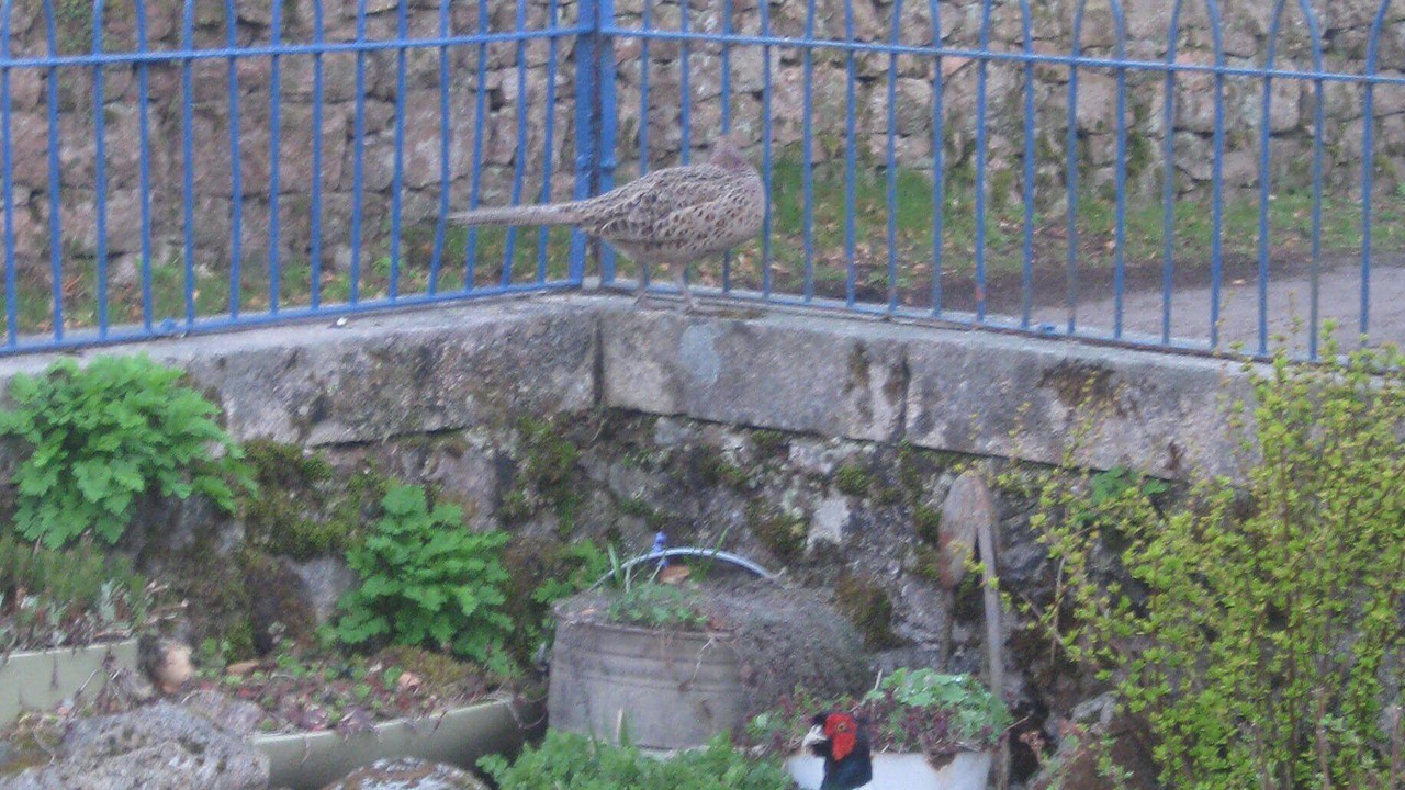 Photo of Outdoor in Aboyne