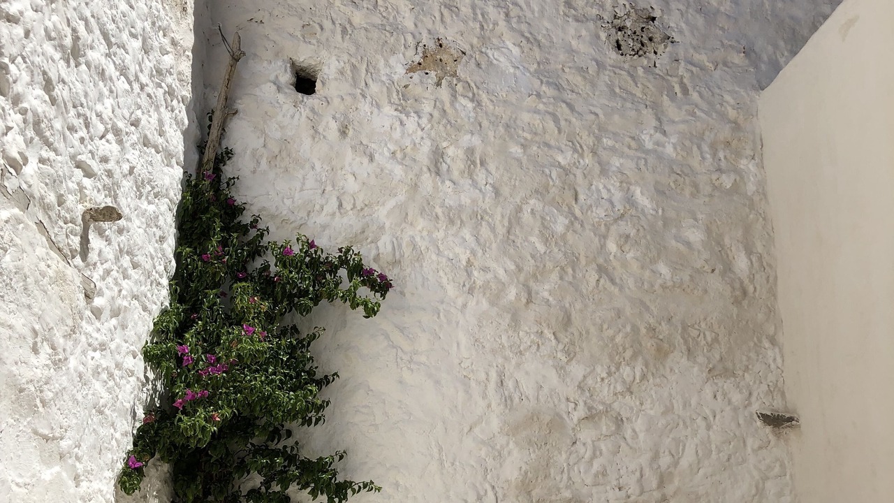 Photo of Outdoor in Leucate