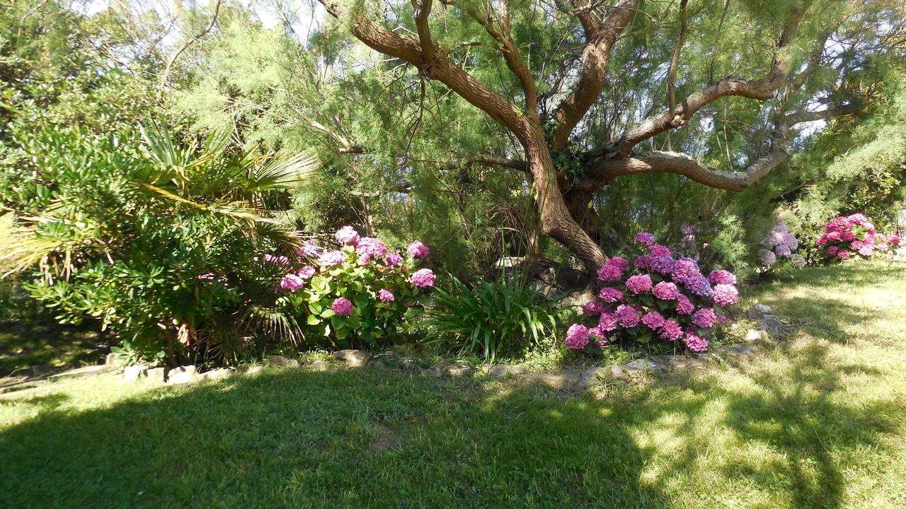 Photo of Outdoor in Bidart