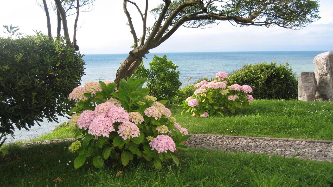 Photo of Outdoor in Bidart