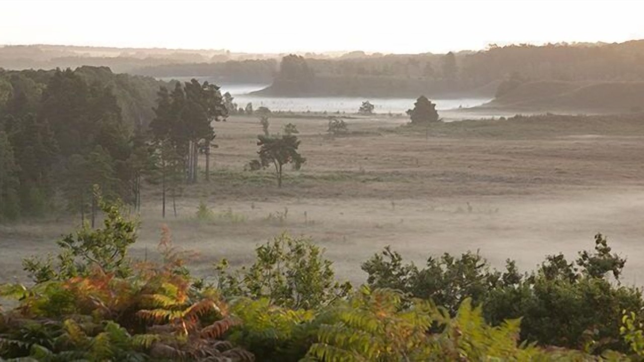 Photo of Others in Dersingham