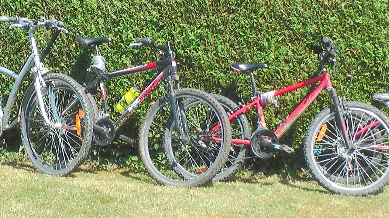 Photo of Others in Ogeu-Les-Bains
