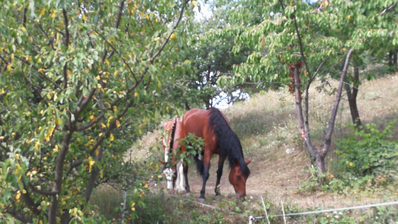 Photo of Outdoor in Ceret