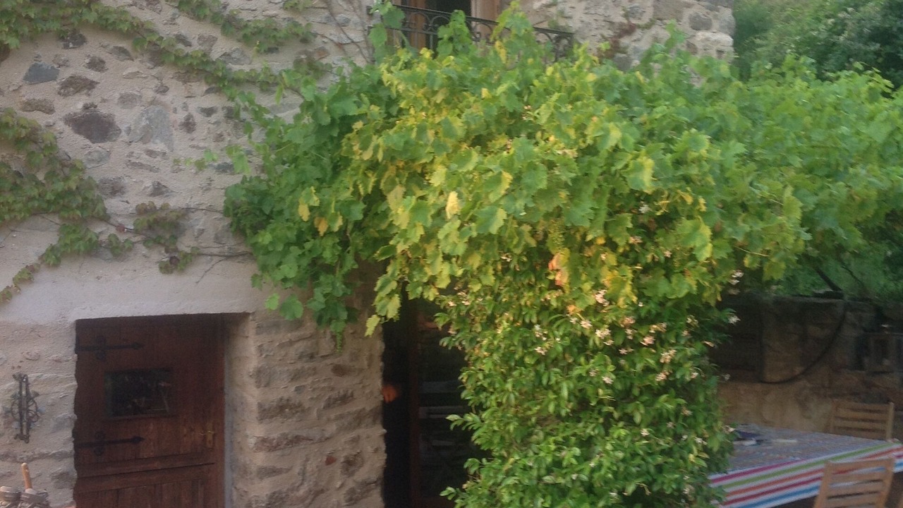 Photo of Outdoor in Ceret