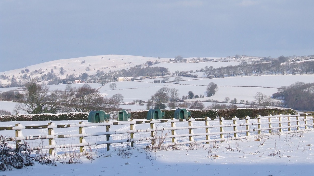 Photo of Others in Garway