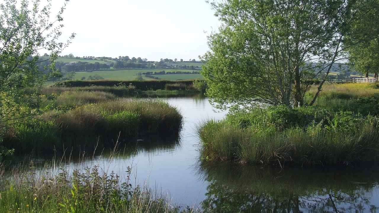 Photo of Outdoor in Garway