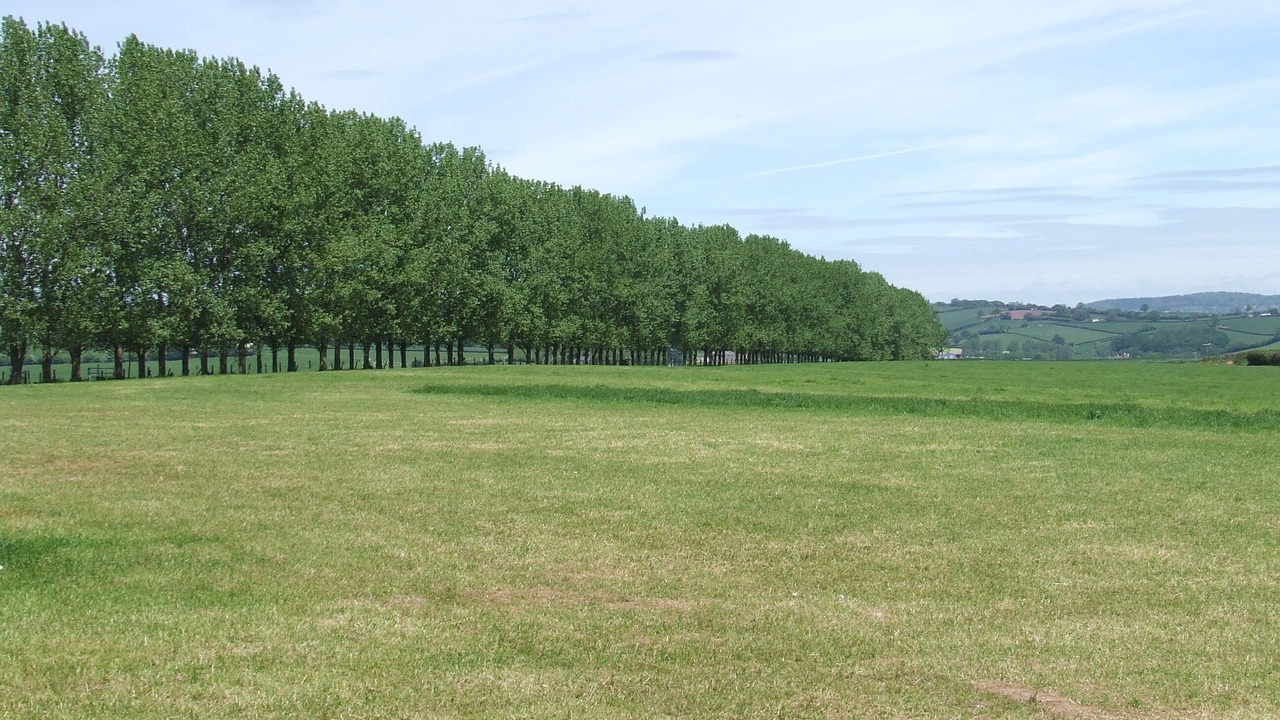 Photo of Others in Garway