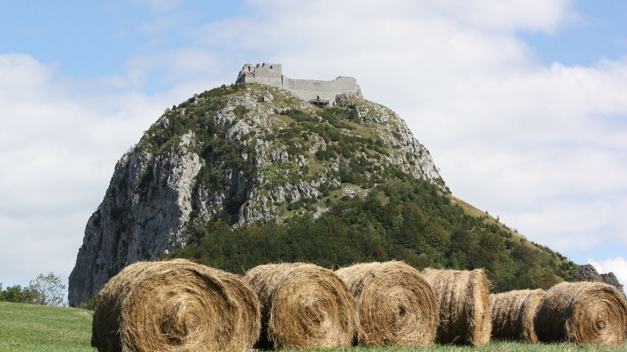 Photo of Others in Gaja-la-Selve