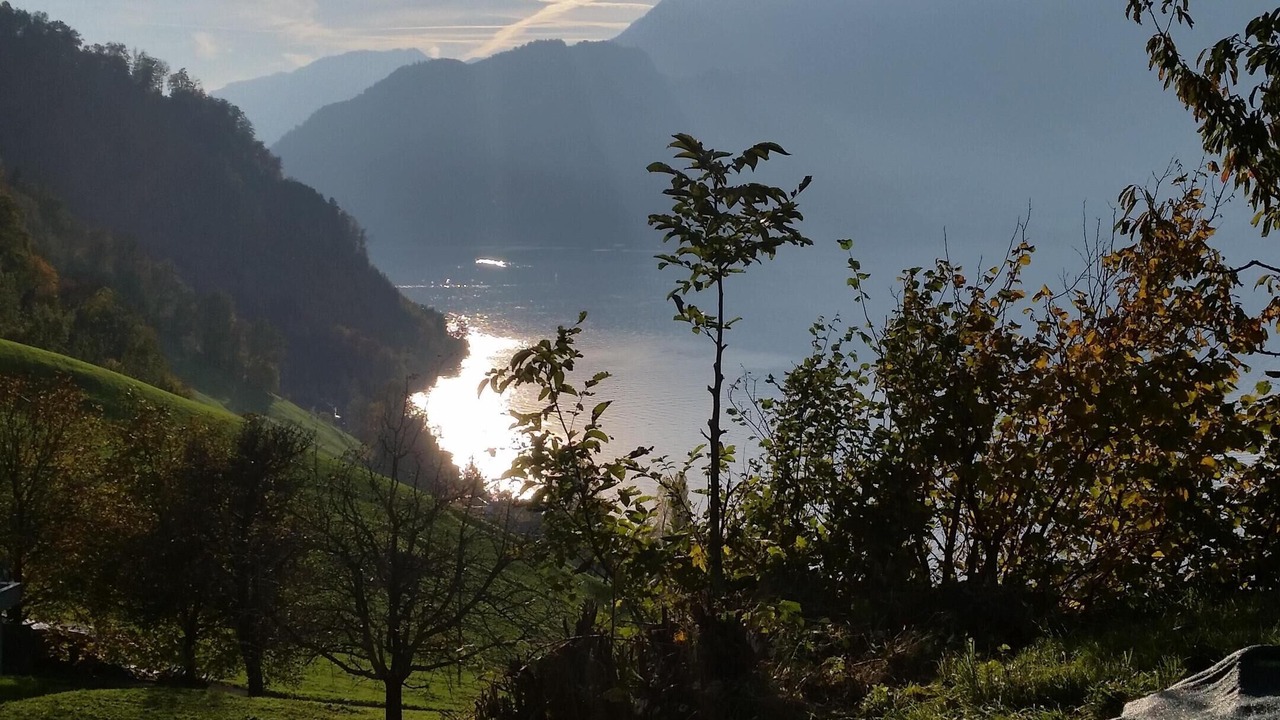 Photo of Outdoor in Horw