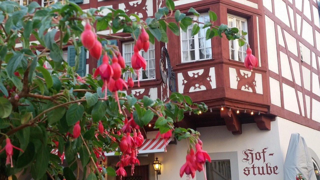 Photo of Outdoor in Horw