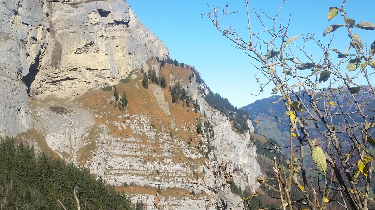 Photo of Outdoor in Horw