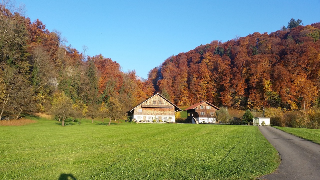 Photo of Outdoor in Horw