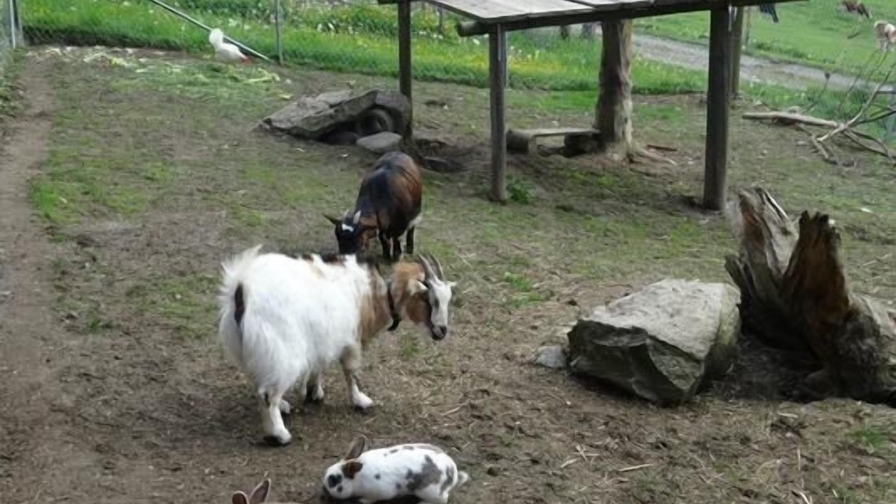 Photo of Others in Kienersruti