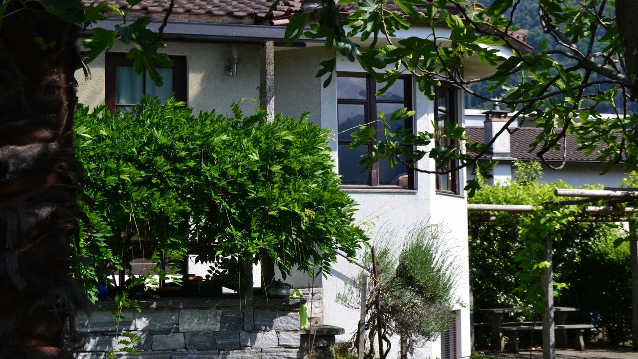 Photo of Outdoor in Losone